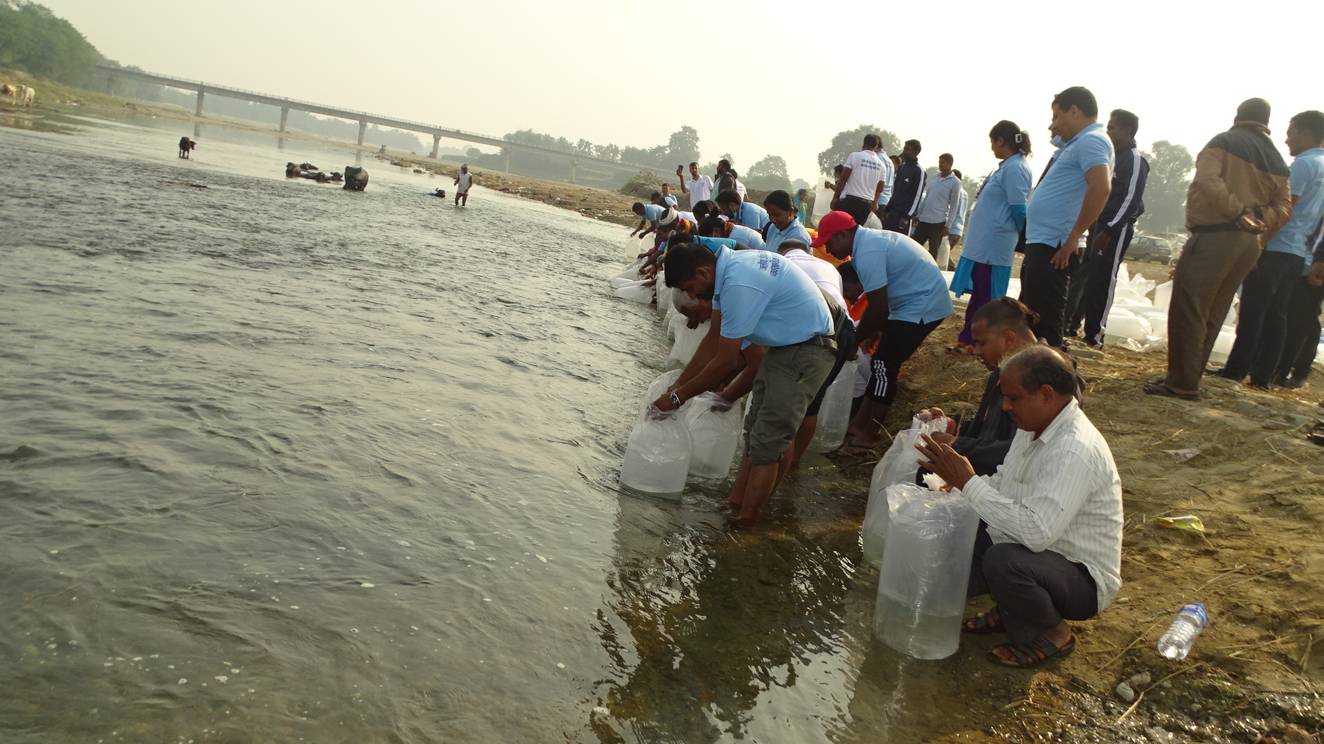विश्व मत्स्य दिवस: दानव नदीमा ५० हजार भुरा छाडियो