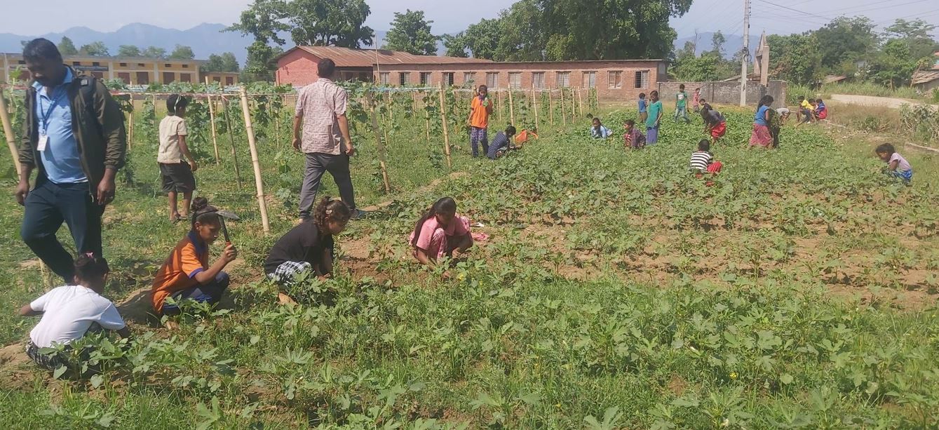 विद्यालयमा सिकाउने र टिकाउने कार्यक्रम शुरू, कृषिमा आधारित प्रयोगात्मक शिक्षा दिने