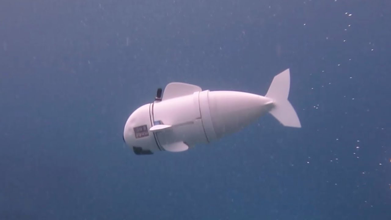 सागरमा माइक्रोप्लास्टिक्स ‘खुवाउन’ वैज्ञानिकले विकसित गरे रोबोट माछा