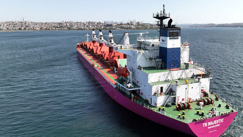खाद्यान्न ओसार्ने दुई जहाज युक्रेनी बन्दरगाहमा, इजिप्ट र इजरायलमा २० हजार टन गहुँ ढुवानी गर्ने